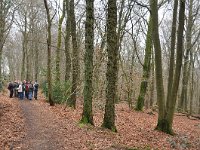 NL, Limburg, Vaals, Vijlenerbos 1, Saxifraga-Tom Heijnen