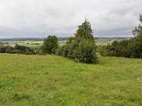 NL, Limburg, Vaals, near Camerig 1, Saxifraga-Tom Heijnen