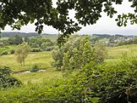 NL, Limburg, Vaals, near Camerig 3, Saxifraga-Tom Heijnen