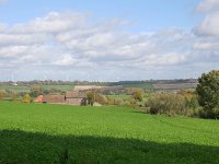 NL, Limburg, Vaals, near Holset 1, Saxifraga-Tom Heijnen