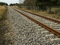 NL, Limburg, Weert, Boshoverheide, IJzeren Rijn 1, Saxifraga-Jan van der Straaten