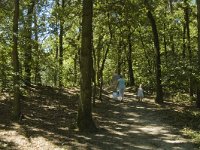 NL, Limburg, Weert, De IJzeren Man 18, Saxifraga-Marijke Verhagen