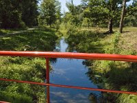 NL, Limburg, Weert, De IJzeren Man 28, Saxifraga-Marijke Verhagen