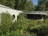 NL, Limburg, Weert, De IJzeren Man 4, Saxifraga-Jan van der Straaten