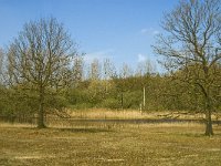 NL, Limburg, Weert, Heijkersbroek 11, Saxifraga-Jan van der Straaten