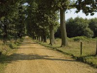 NL, Limburg, Weert, Kettingdijk 17, Saxifraga-Marijke Verhagen