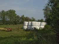 NL, Limburg, Weert, Kettingdijk 5, Saxifraga-Jan van der Straaten