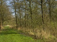 NL, Limburg, Weert, Laagbroek 6, Saxifraga-Jan van der Straaten