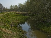 NL, Limburg, Weert, Leukerbeek 1, Saxifraga-Jan van der Straaten