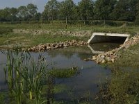 NL, Limburg, Weert, Leukerbeek 4, Saxifraga-Jan van der Straaten