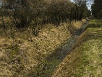 NL, Limburg, Weert, Ontwatering, Laurabossen 1, Saxifraga-Jan van der Straaten