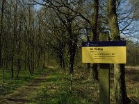 NL, Limburg, Weert, Roukespeel 9, Saxifraga-Jan van der Straaten