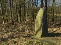 NL, Limburg, Weert, Stramprooierbroek 1, Saxifraga-Jan van der Straaten