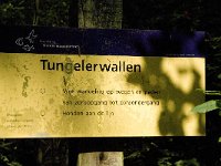 NL, Limburg, Weert, Tungelerwallen 19, Saxifraga-Jan van der Straaten