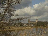 NL, Noord-Brabant, 's-Hertogenbosch, Bossche Broek 34, Saxifraga-Jan van der Straaten