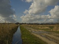 NL, Noord-Brabant, 's-Hertogenbosch, Bossche Broek 45, Saxifraga-Jan van der Straaten