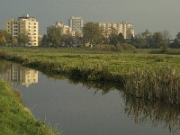 NL, Noord-Brabant, 's-Hertogenbosch, Bossche Broek 9, Saxifraga-Jan van der Straaten