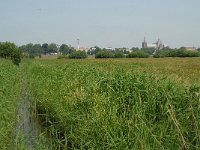 NL, Noord-Brabant, 's-Hertogenbosch, Bossche broek 28, Saxifraga-Willem van Kruijsbergen