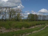 NL, Noord-Brabant, 's-Hertogenbosch, De Koornwaard 23, Saxifraga-Jan van der Straaten