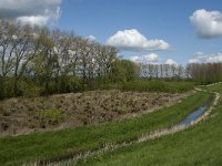 NL, Noord-Brabant, 's-Hertogenbosch, De Koornwaard 24, Saxifraga-Jan van der Straaten