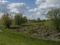 NL, Noord-Brabant, 's-Hertogenbosch, De Koornwaard 31, Saxifraga-Jan van der Straaten