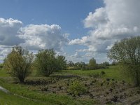 NL, Noord-Brabant, 's-Hertogenbosch, De Koornwaard 32, Saxifraga-Jan van der Straaten