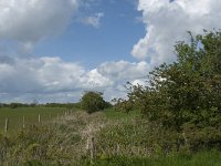 NL, Noord-Brabant, 's-Hertogenbosch, De Koornwaard 9, Saxifraga-Jan van der Straaten