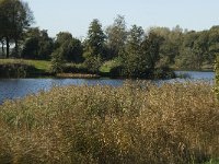 NL, Noord-Brabant, 's-Hertogenbosch, De Pettelaar 10, Saxifraga-Jan van der Straaten