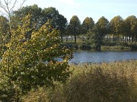 NL, Noord-Brabant, 's-Hertogenbosch, De Pettelaar 11, Saxifraga-Jan van der Straaten