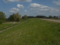 NL, Noord-Brabant, 's-Hertogenbosch, Empelse Dijk 2, Saxifraga-Jan van der Straaten