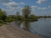 NL, Noord-Brabant, 's-Hertogenbosch, Empelse Waard 5, Saxifraga-Marijke Verhagen