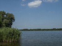 NL, Noord-Brabant, 's-Hertogenbosch, Engelermeer 3, Saxifraga-Marijke Verhagen