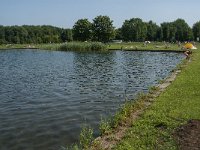 NL, Noord-Brabant, 's-Hertogenbosch, Engelermeer 5, Saxifraga-Marijke Verhagen