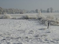 NL, Noord-Brabant, Alphen-Chaam, Bleeke Heide 4, Saxifraga-Jan van der Straaten