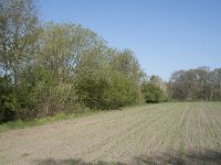 NL, Noord-Brabant, Alphen-Chaam, De Hoevens 12, Saxifraga-Willem van Kruijsbergen