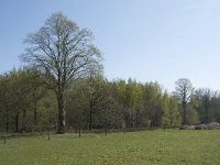 NL, Noord-Brabant, Alphen-Chaam, De Hoevens 14, Saxifraga-Willem van Kruijsbergen