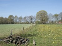 NL, Noord-Brabant, Alphen-Chaam, De Hoevens 20, Saxifraga-Willem van Kruijsbergen