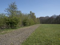 NL, Noord-Brabant, Alphen-Chaam, De Hoevens 33, Saxifraga-Willem van Kruijsbergen