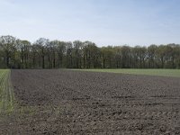 NL, Noord-Brabant, Alphen-Chaam, De Hoevens 40, Saxifraga-Willem van Kruijsbergen