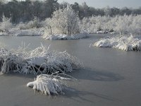 NL, Noord-Brabant, Alphen-Chaam, Goudberg 16, Saxifraga-Jan van der Straaten