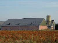 NL, Noord-Brabant, Alphen-Chaam, Lange Vooren 1, Saxifraga-Jan van der Straaten