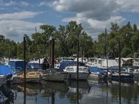 NL, Noord-Brabant, Altena, Aakvlaai 2, Saxifraga-Jan van der Straaten