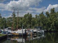 NL, Noord-Brabant, Altena, Aakvlaai 4, Saxifraga-Jan van der Straaten