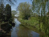 NL, Noord-Brabant, Altena, Alm 1, Saxifraga-Jan van der Straaten