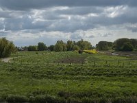 NL, Noord-Brabant, Altena, Bakkerskil 4, Saxifraga-Jan van der Straaten