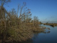 NL, Noord-Brabant, Altena, Boomgat 20, Saxifraga-Jan van der Straaten