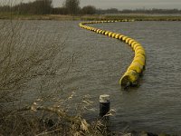 NL, Noord-Brabant, Altena, Boven Spieringpolder 4, Saxifraga-Jan van der Straaten