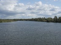 NL, Noord-Brabant, Altena, Bovenste Gat van het Zand 2, Saxifraga-Willem van Kruijsbergen