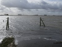 NL, Noord-Brabant, Altena, Braspenning 9, Saxifraga-Willem van Kruijsbergen