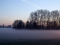 Polder in Dutch Biesbosch National Park covered by fog during sunrise  Polder in Dutch Biesbosch National Park covered by fog during sunrise : Biesbosch National Park, Biesbosch, national park, np, dutch, holland, Netherlands, Europe, European, polder, grass, grassland, rural, rural landscape, non-urban scene, rural scene, outside, outdoors, nobody, no people, sky, pasture, agriculture, agricultural, meadow, winter, wintertime, tree, trees, blue sky, north brabant, sunrise, dawn, early morning, sun, cold colors, silhouette, silhoutted